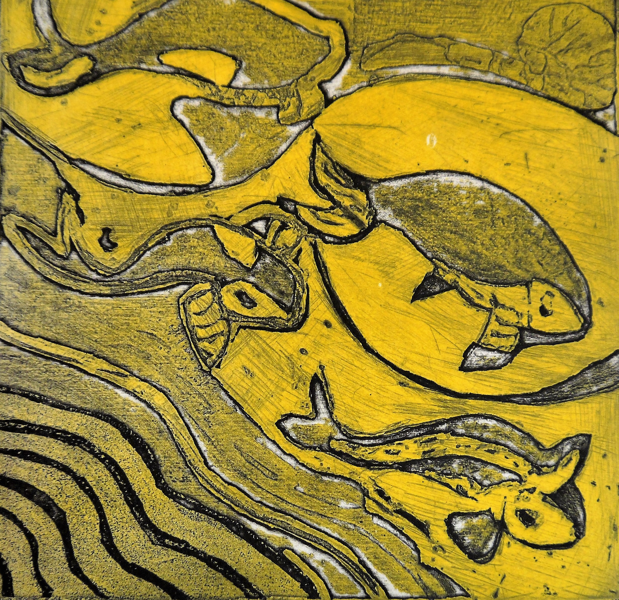 La pêche miraculeuse