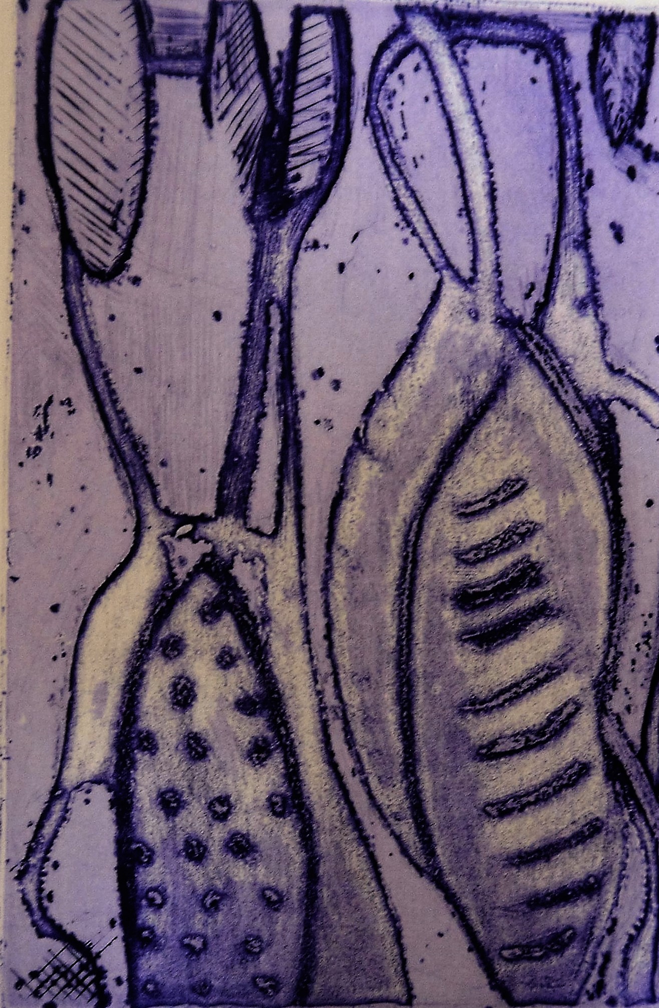 « Formes »