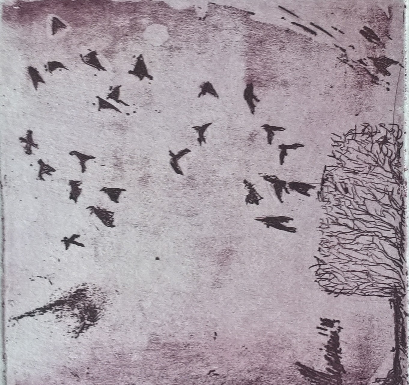 Envol d&rsquo;oiseaux