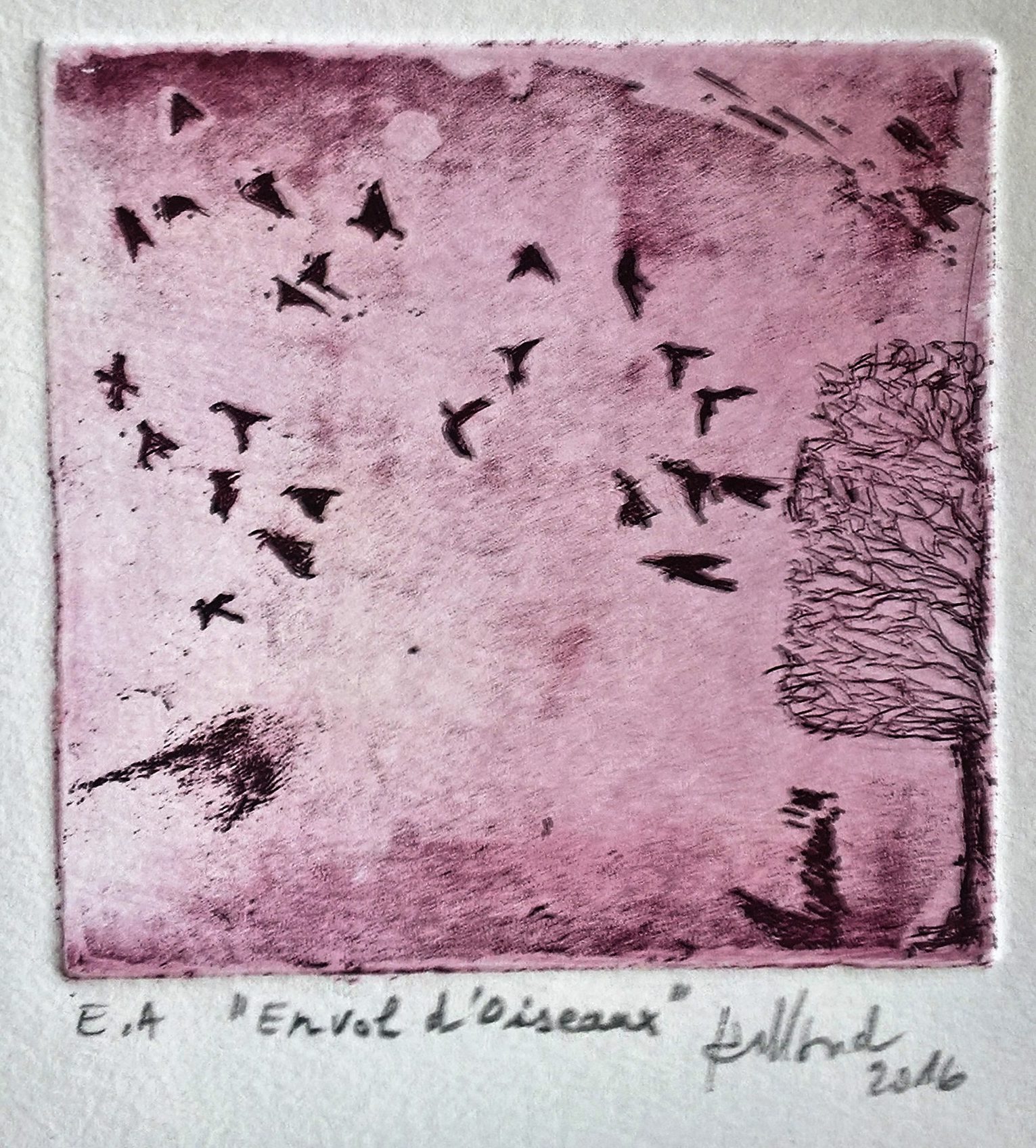 Envol d&rsquo;oiseaux