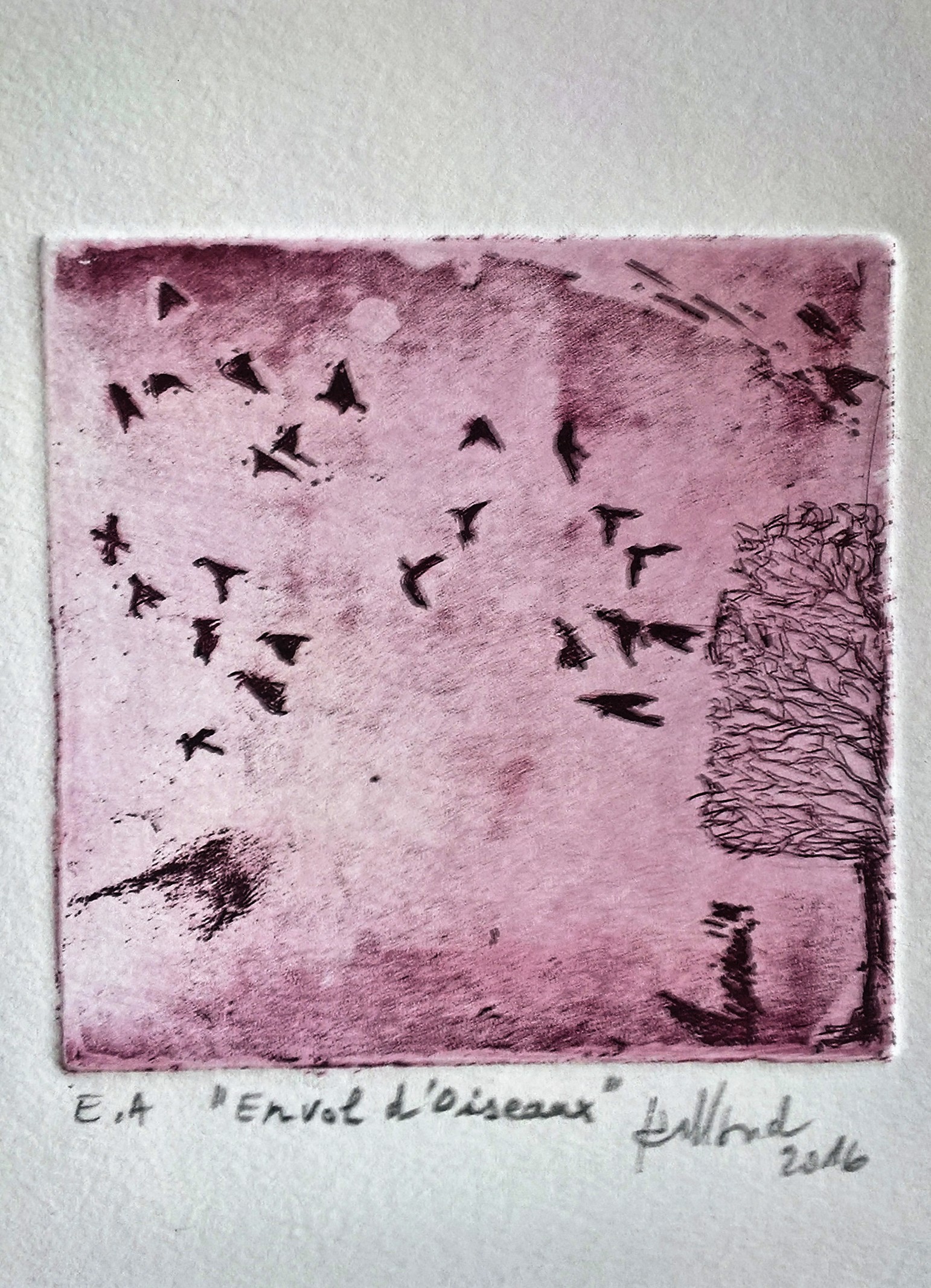 Envol d&rsquo;oiseaux